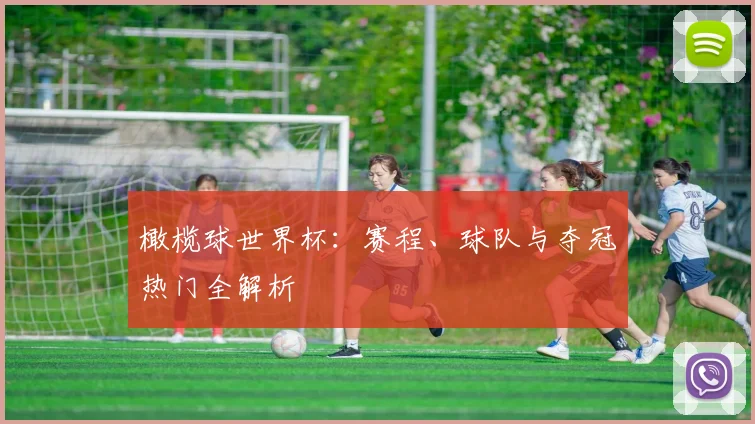橄榄球世界杯:赛程、球队与夺冠热门全解析