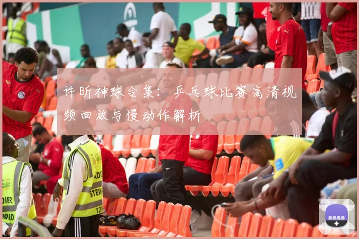 许昕神球合集：乒乓球比赛高清视频回放与慢动作解析