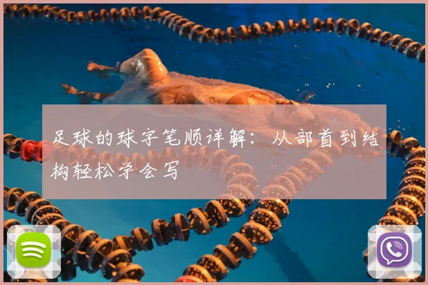 足球的球字笔顺详解：从部首到结构轻松学会写